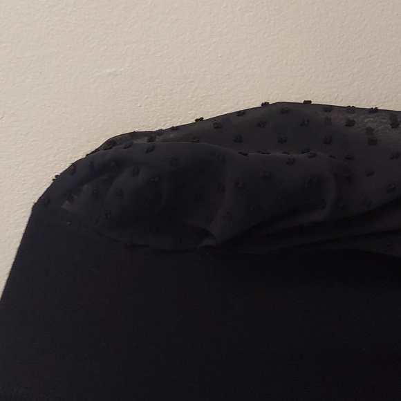 ADRIANNA PAPELL Black Crewneck Swiss Dot Sheer Long Sleeve Pullover Sweater - Picture 5 of 11